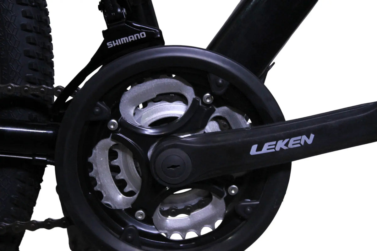 Leken (MOUNTAIN BIKE) 29