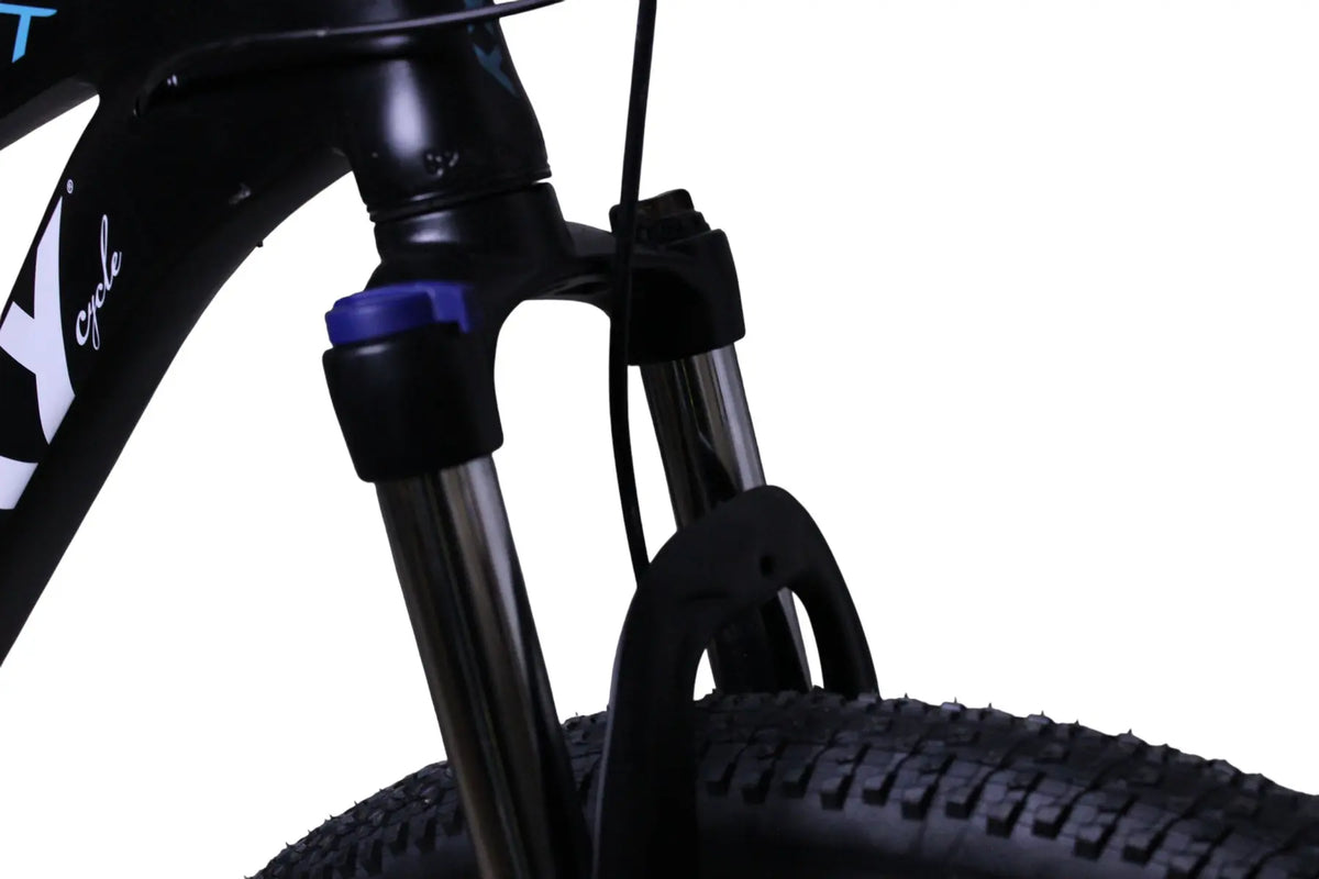 GALAXY M60 PROMAX (MOUNTAIN BIKE) 29